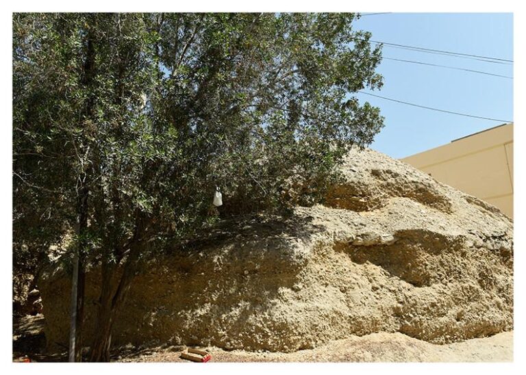 A’ali Burial Mounds – No. 3 - Camille Zakharia 