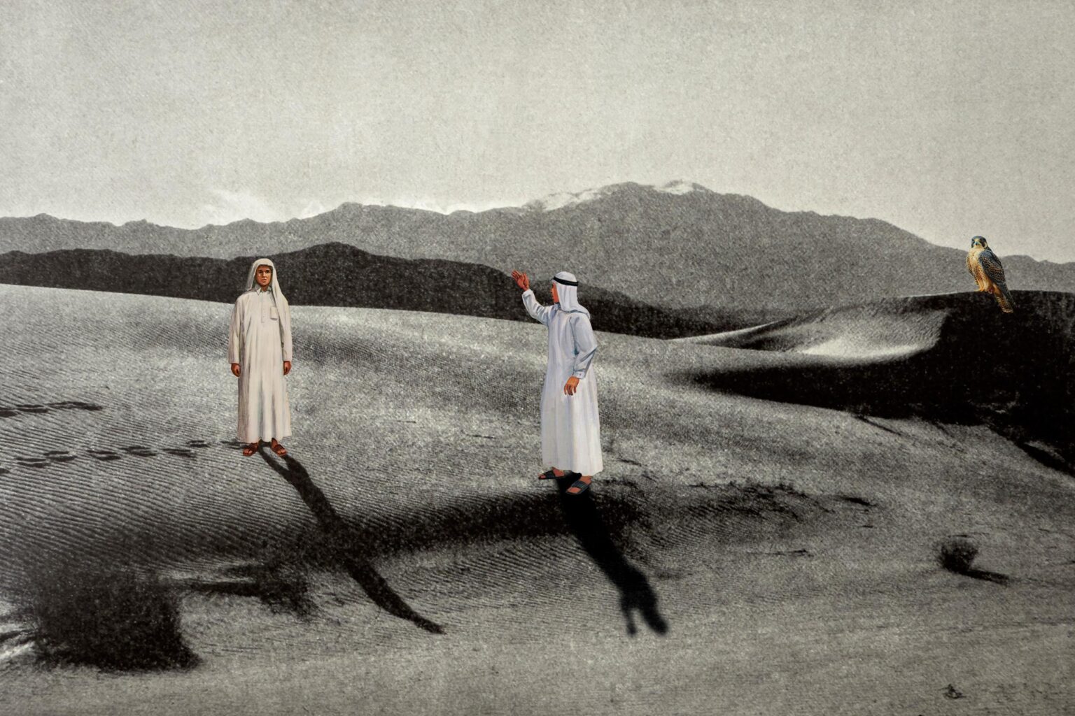 When Shadows Lead - Maha Malluh 