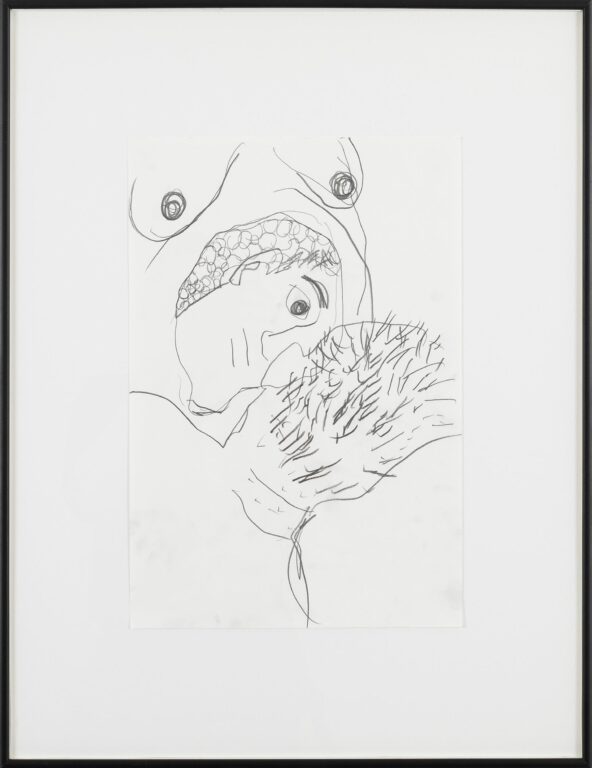 Untitled - Shanee Roe 