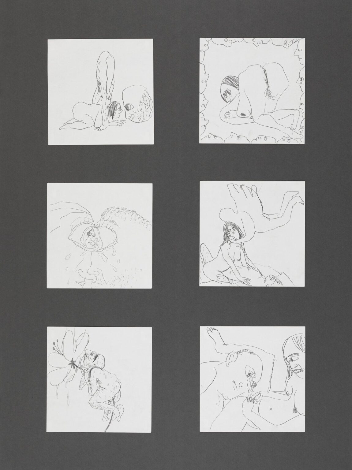 Untitled - Shanee Roe 