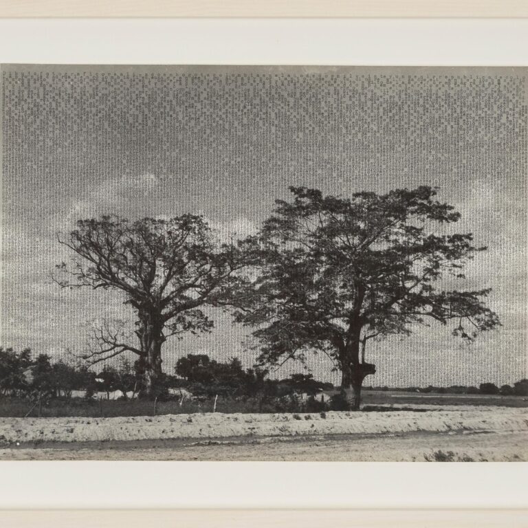 Saldaña - Johanna Calle 