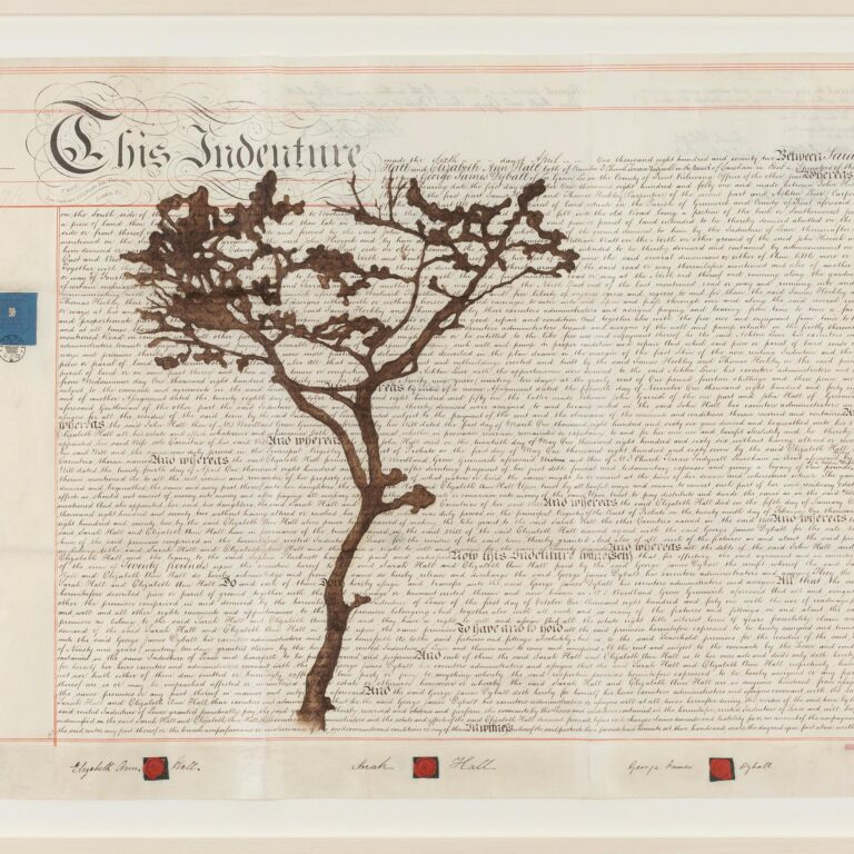 Indenture II - Johanna Calle 