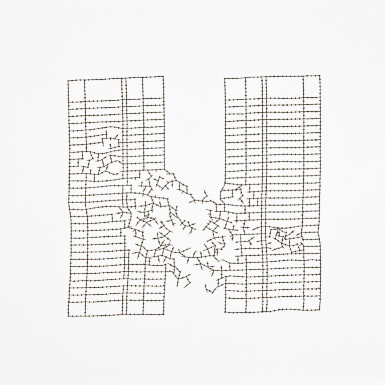 Imponderables (25) - Johanna Calle 