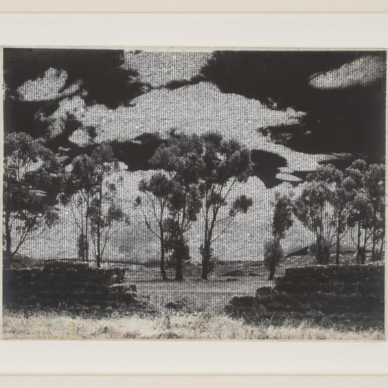 Paisaje sabanero - Johanna Calle 
