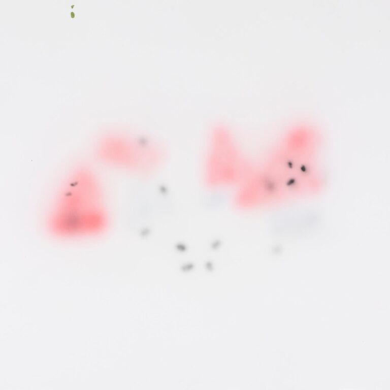 Artificial Still Life - Inci Furni 
