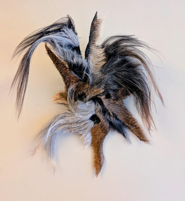 Las sobras de la scena (dinner leftover) - Erik Tlaseca 