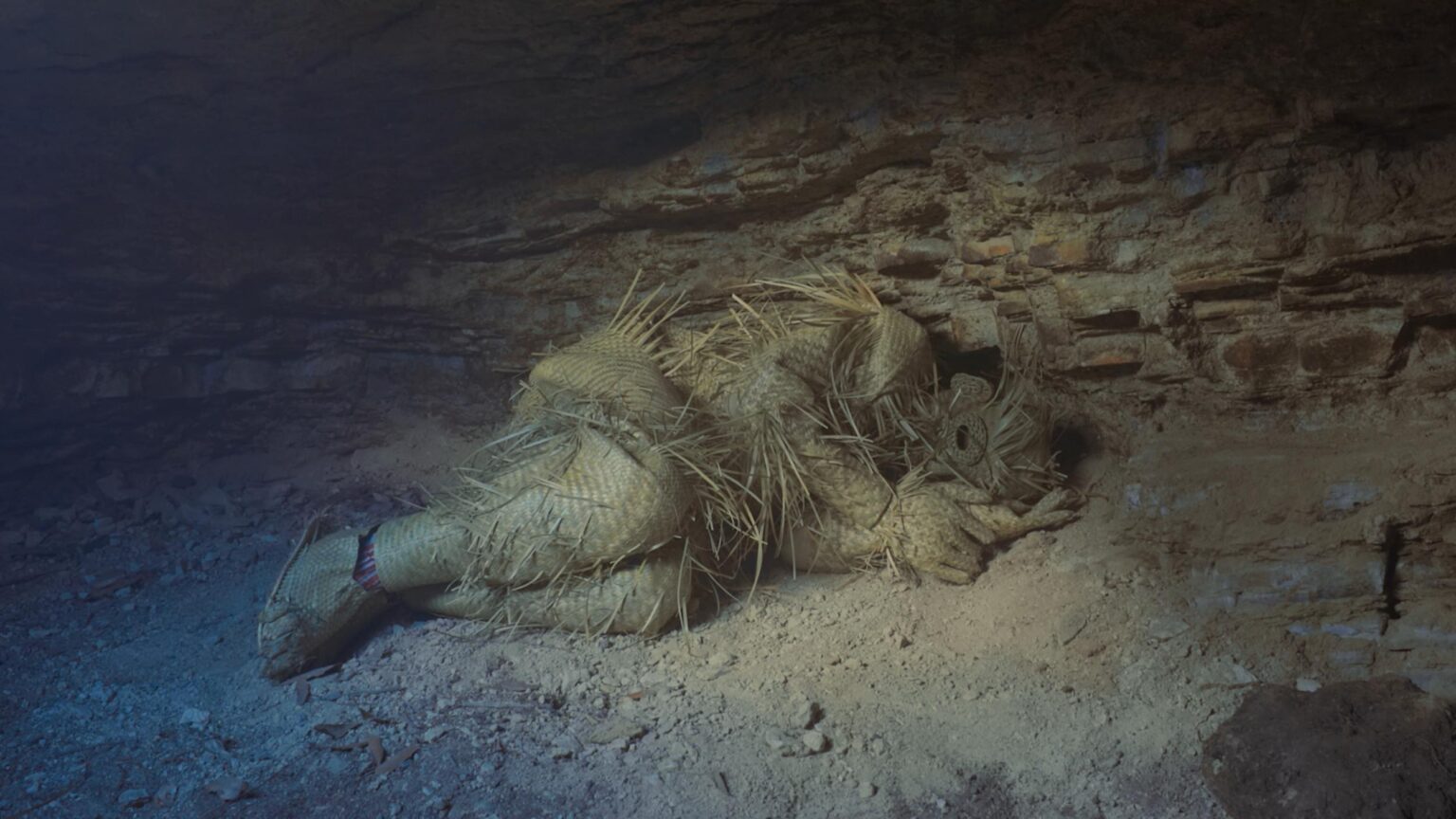 The Night is (Not) Mute - Erik Tlaseca 