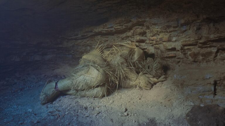 The Night is (Not) Mute - Erik Tlaseca 