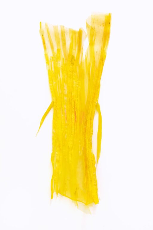 in the beginning there was time as if splashed with bouncy eye masks an experience in stretched yellow or a bee might be a star of a great drama<br />
as if splashed with bouncy eye masks <br />
an experience in stretched yellow <br />
or a bee might be a star of a great drama (06) - Astrid Svangren 