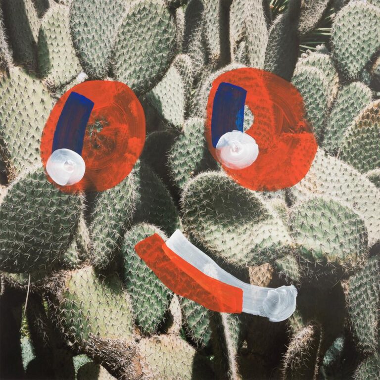 PAN AU - Hanakam und Schuller 