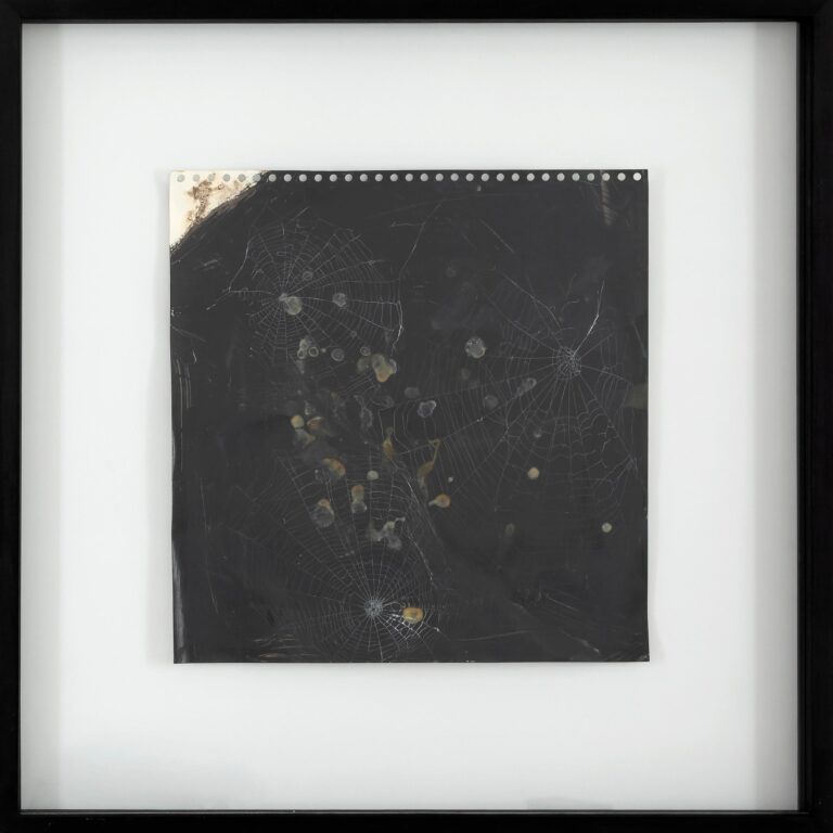 Ohne Titel (aus der Serie Spinnwebenbilder) - Christian Eisenberger 