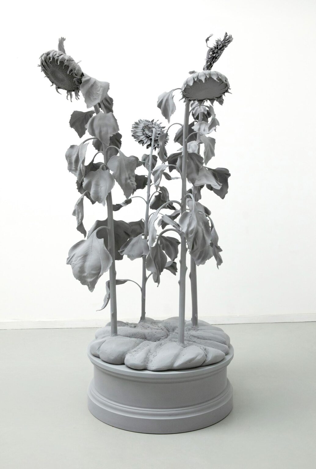 Sunflowers - Hans Op de Beeck 