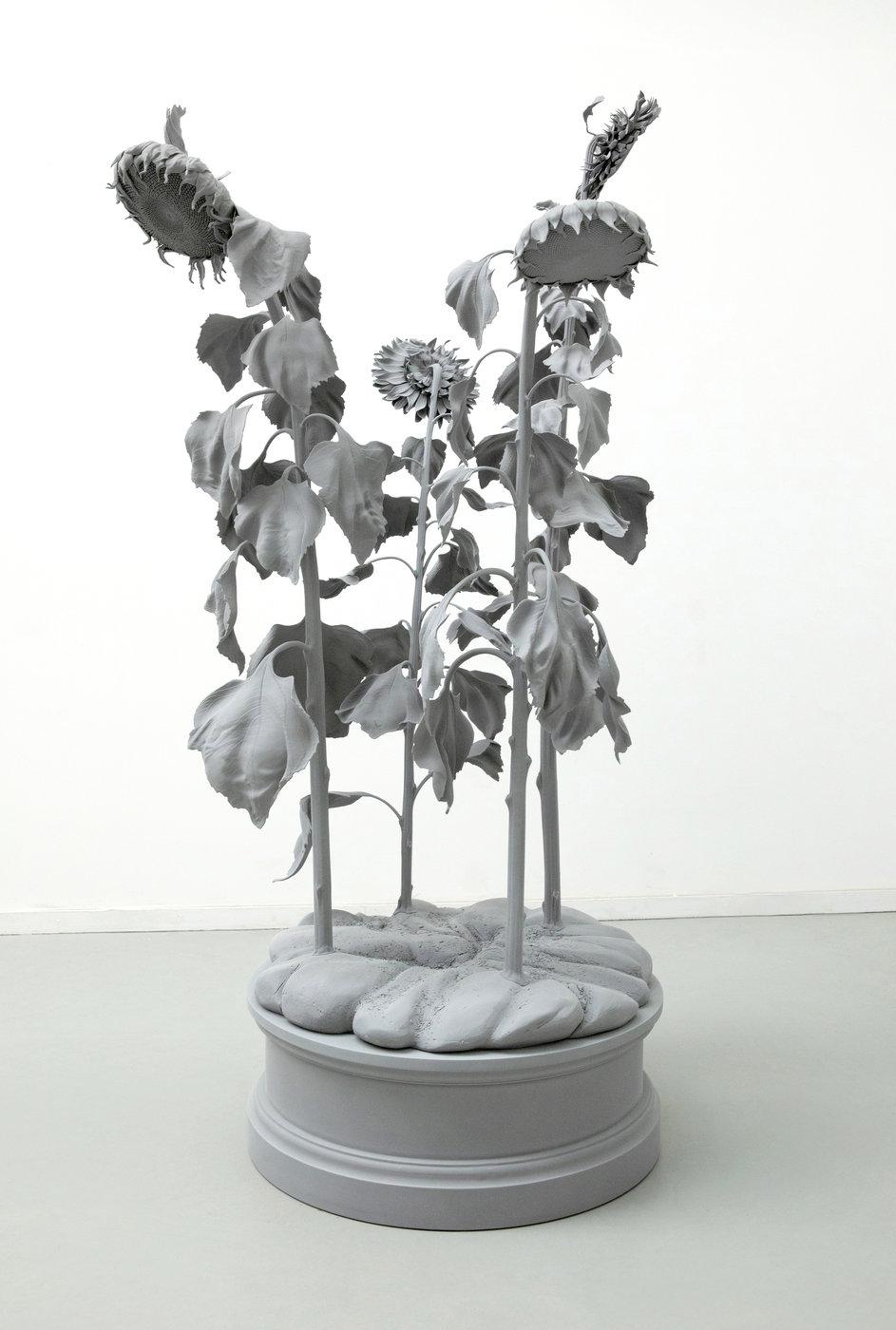 Sunflowers - Hans Op de Beeck 
