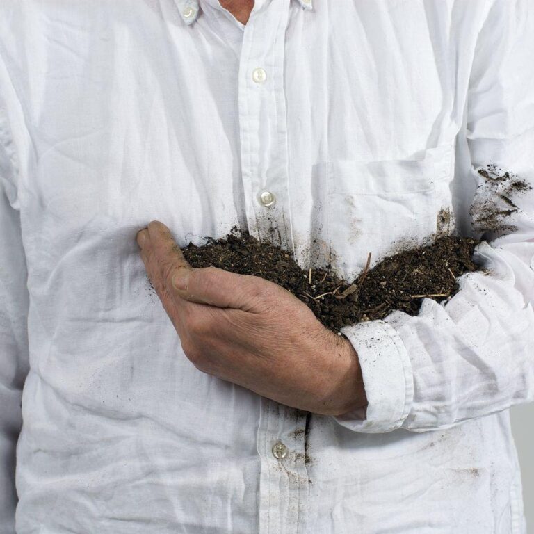 Die Erde halten - Lois Weinberger 