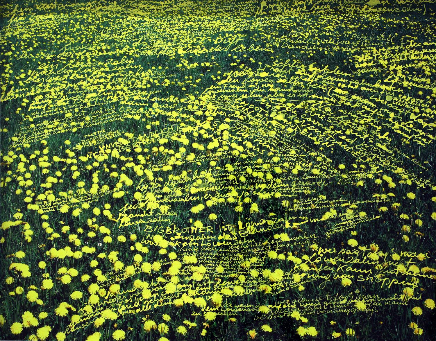 L&ouml;wenzahn - Martin Walde 