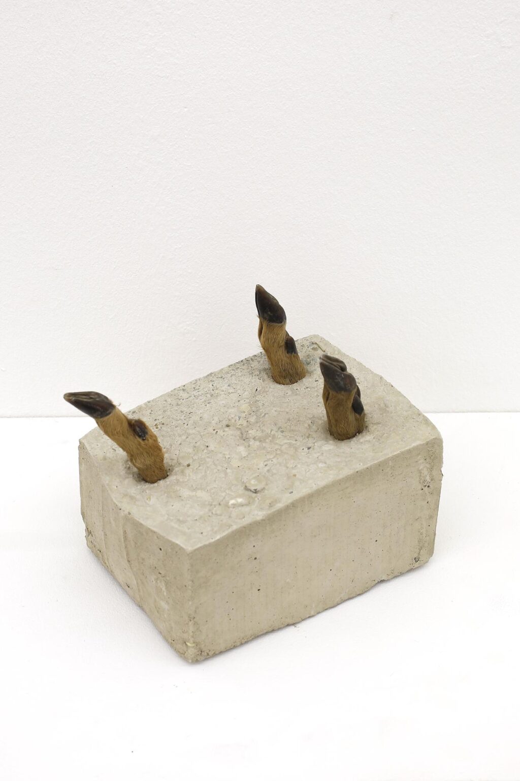 Ohne Titel - Christian Eisenberger 