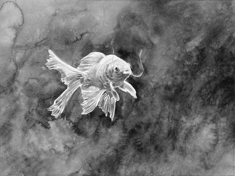 One Fish - Hans Op de Beeck 