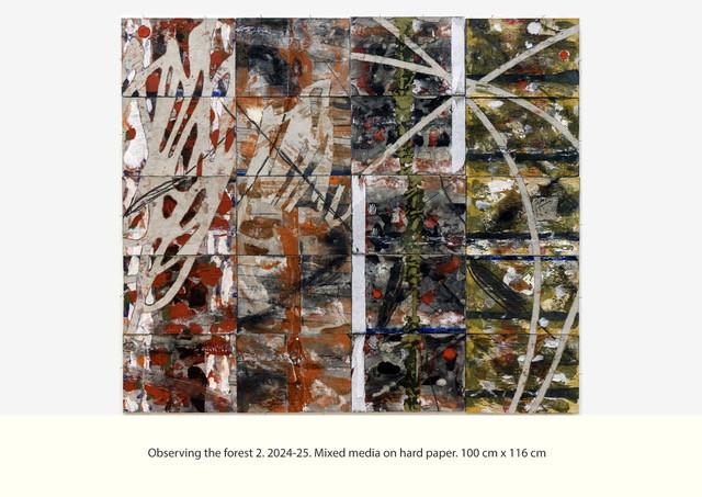 Observing the forest (2) - Shuvo Rafiqul 