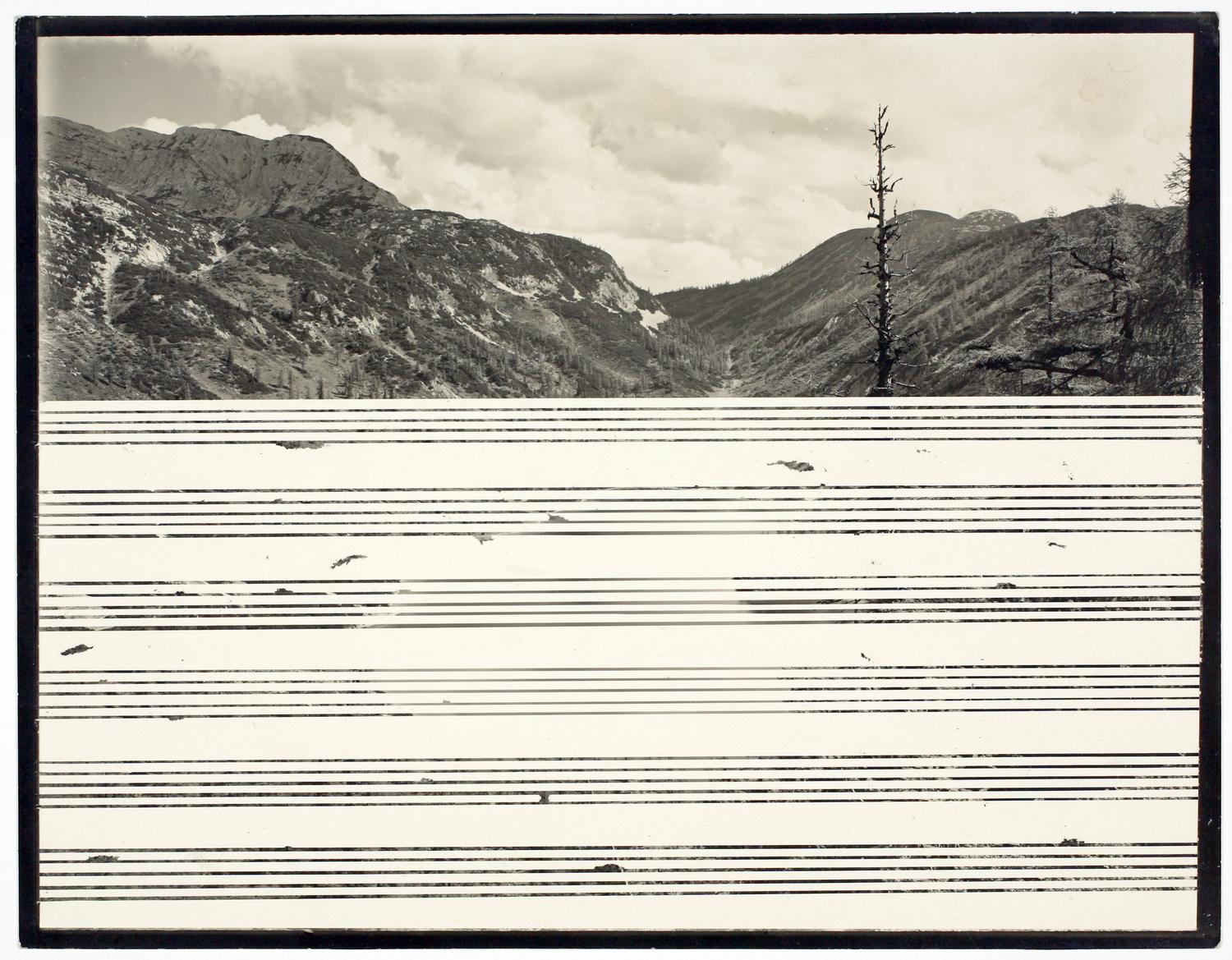 Lied (2) - Johanna Calle 