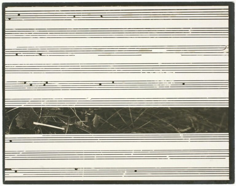 Lied (18) - Johanna Calle 