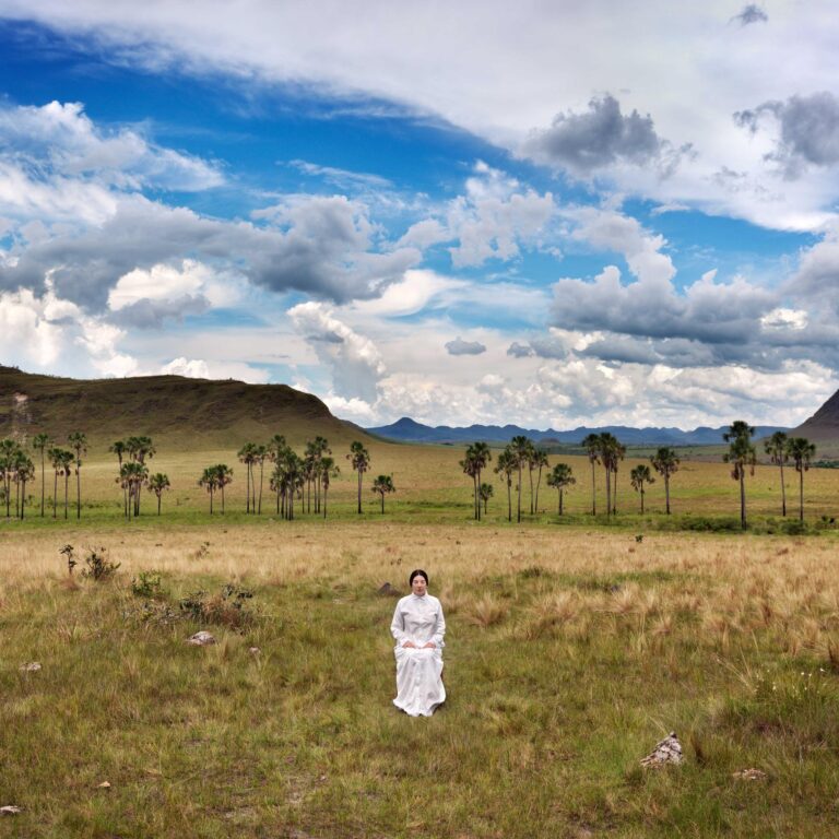 Places of Power, The Garden of Maitreya - Marina Abramović 