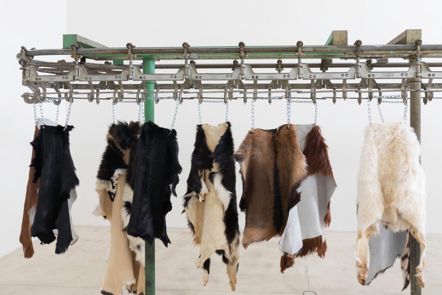 Carousel - Anthony Olubunmi Akinbola 