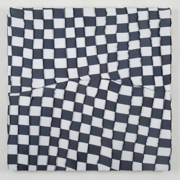 CAMOUFLAGE - Anthony Olubunmi Akinbola 