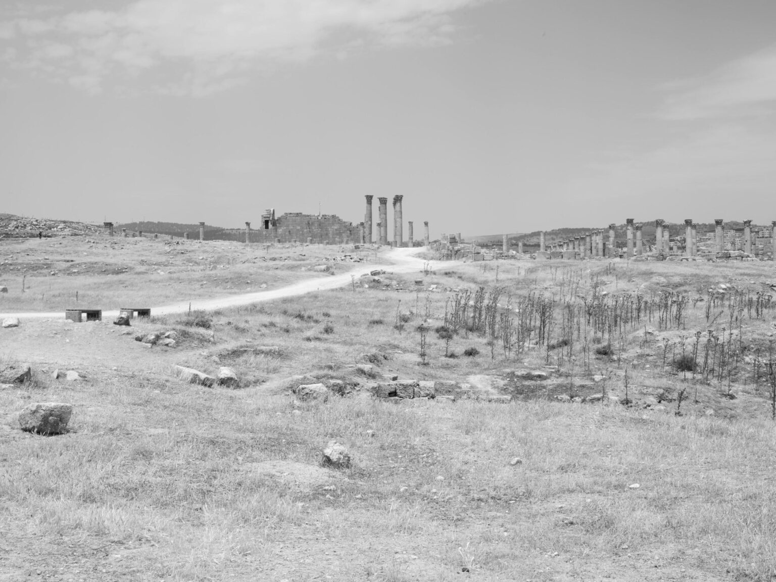 Jarash - Farah Al Qasimi 