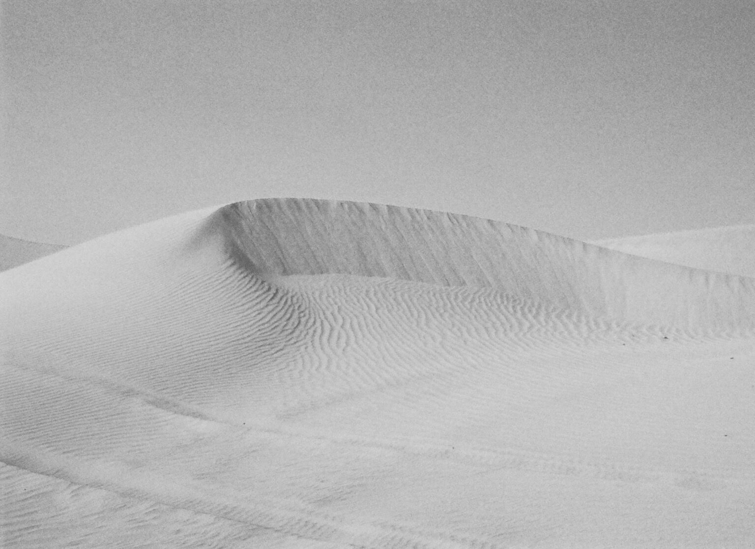 Dune - Farah Al Qasimi 