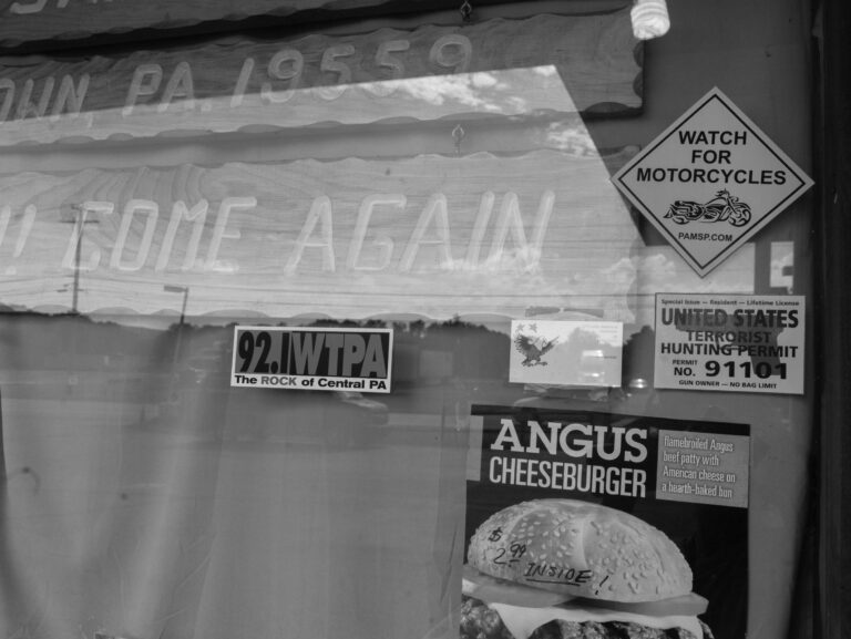 Terrorist Hunting Permit - Farah Al Qasimi 