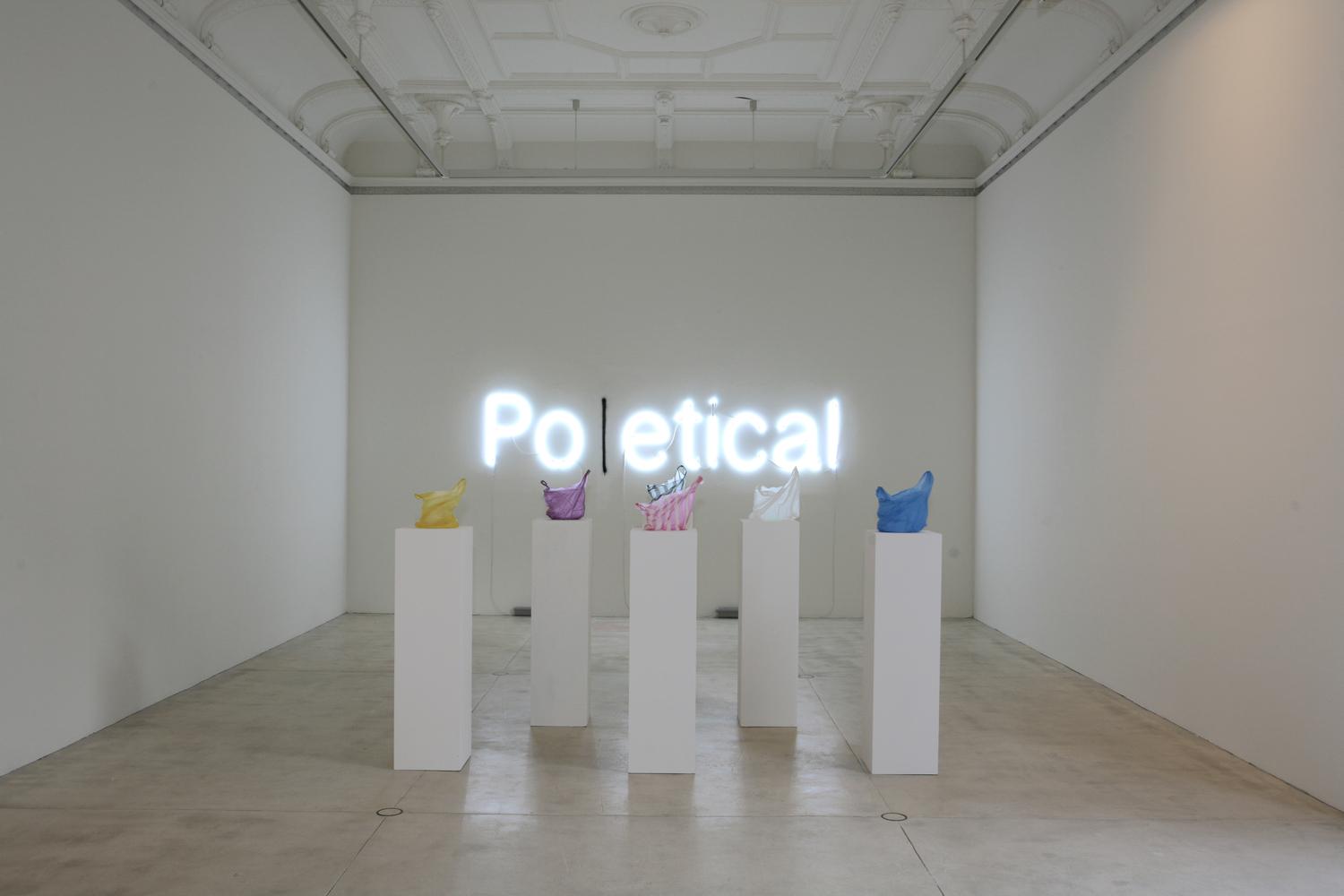 Po(l)etical - Kader Attia 