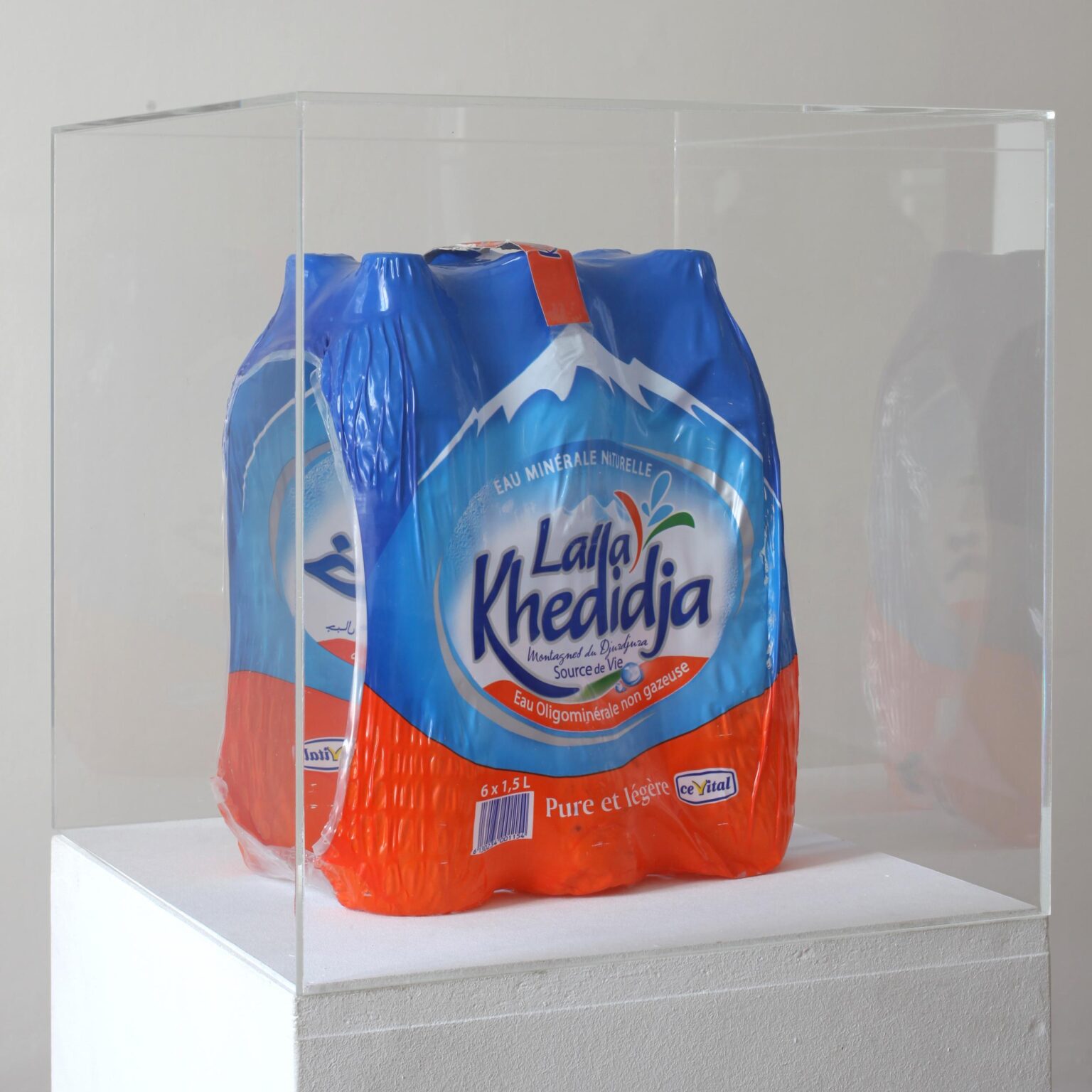 Untitled (No Water) - Kader Attia 