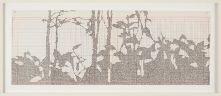 Bosque Húmedo I - Johanna Calle 