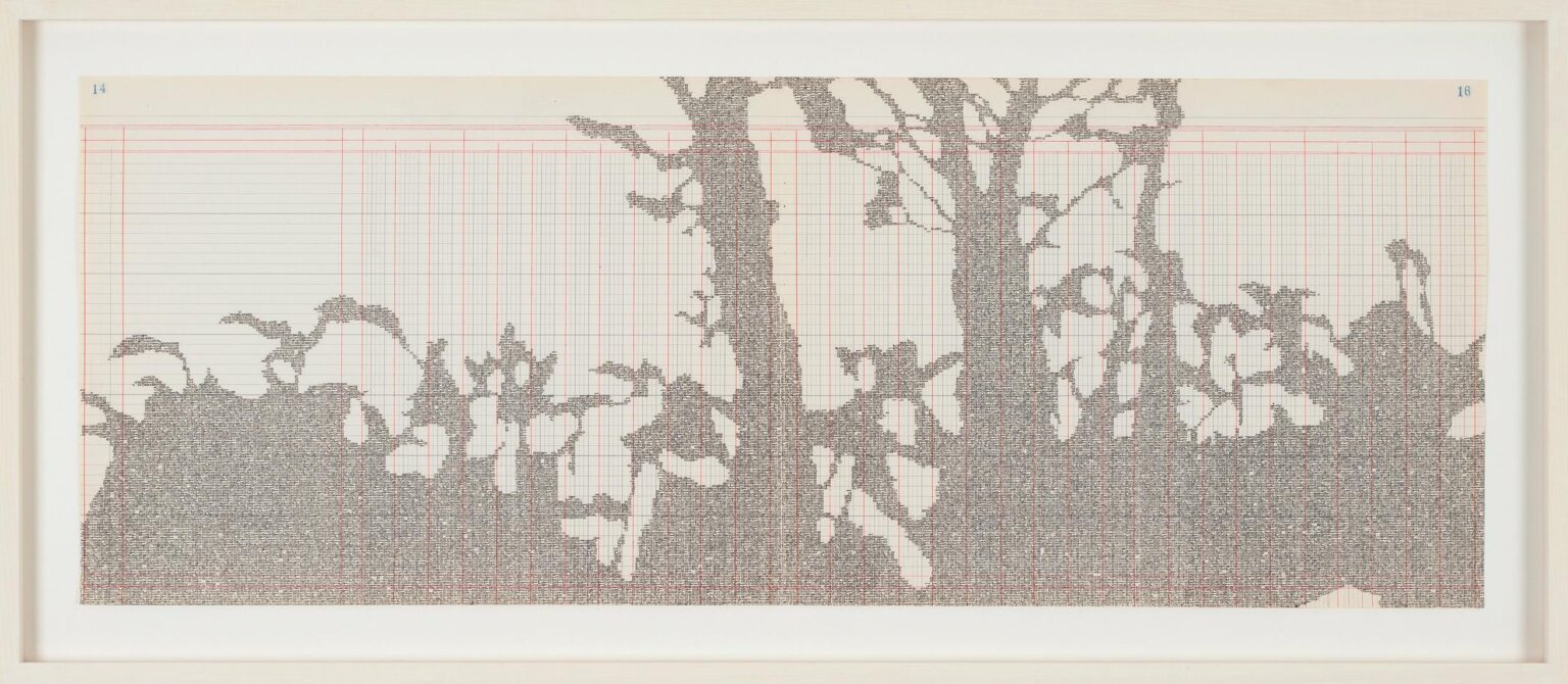 Bosque Húmedo II - Johanna Calle 