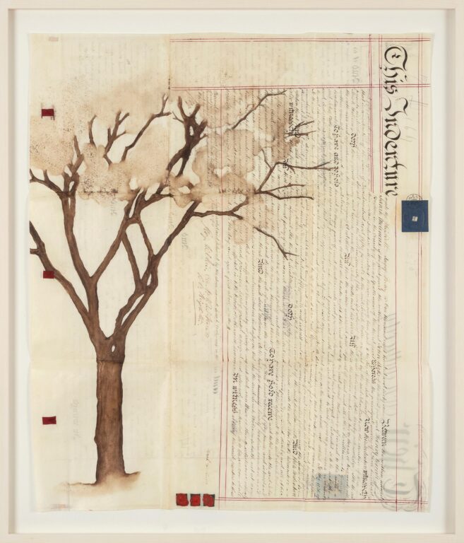 Indenture IX - Johanna Calle 