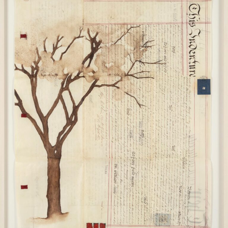 Indenture IX - Johanna Calle 