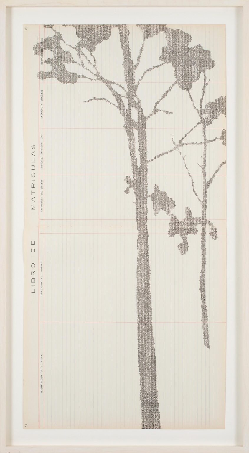 Erial 1 - Johanna Calle 