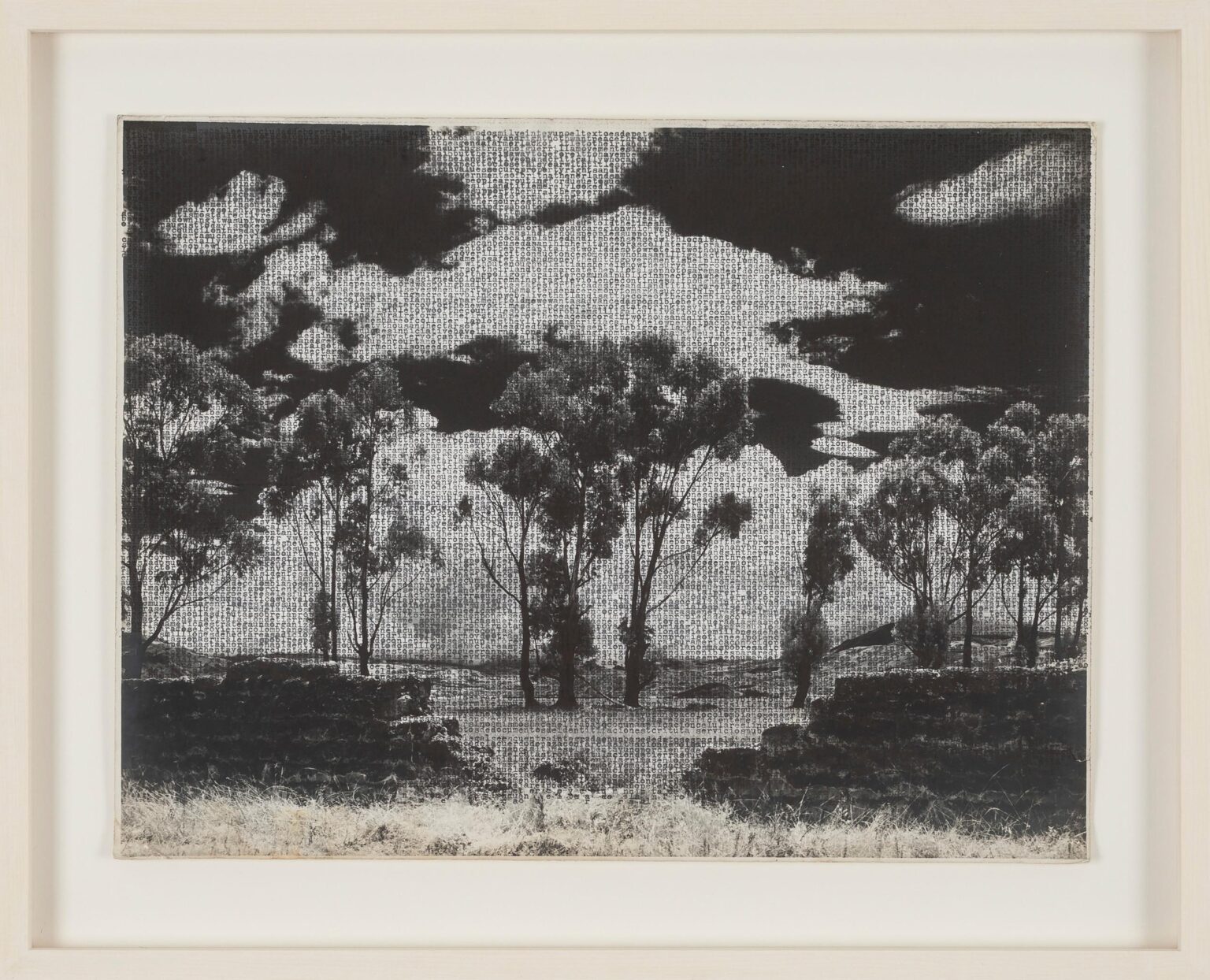 Paisaje sabanero - Johanna Calle 