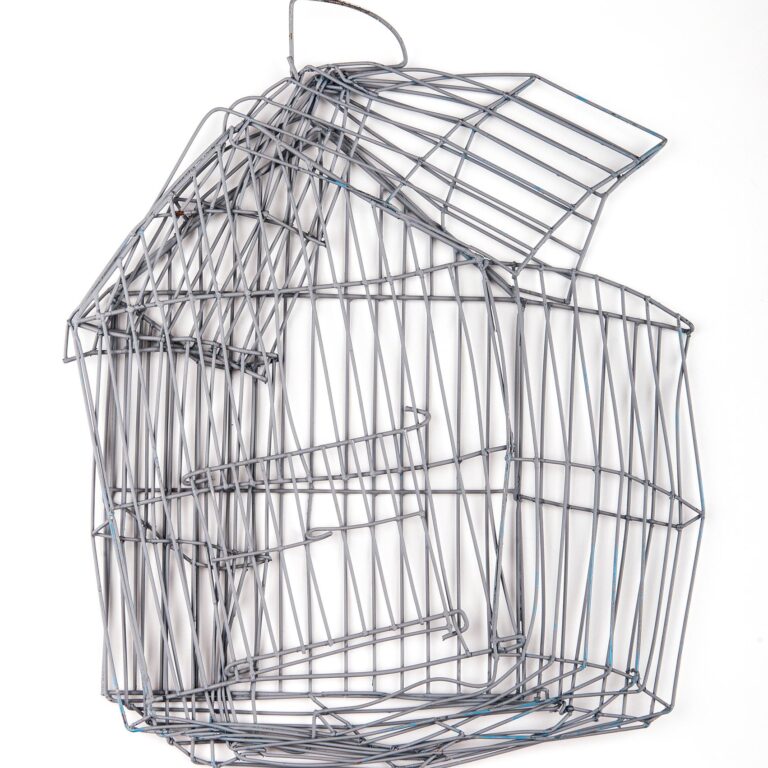 Perspectivas - Johanna Calle 