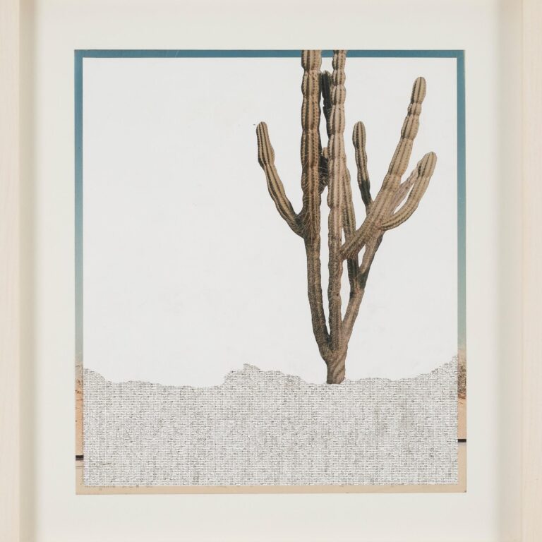 Guajira - Johanna Calle 