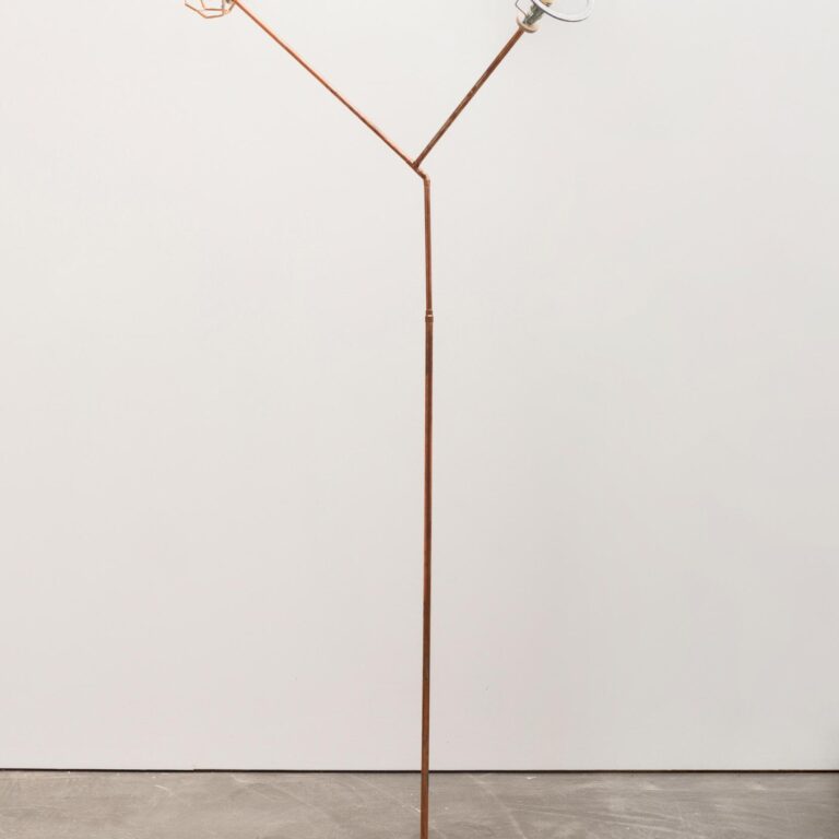 Doppelstern (Epsilon Bootis) - Björn Dahlem 