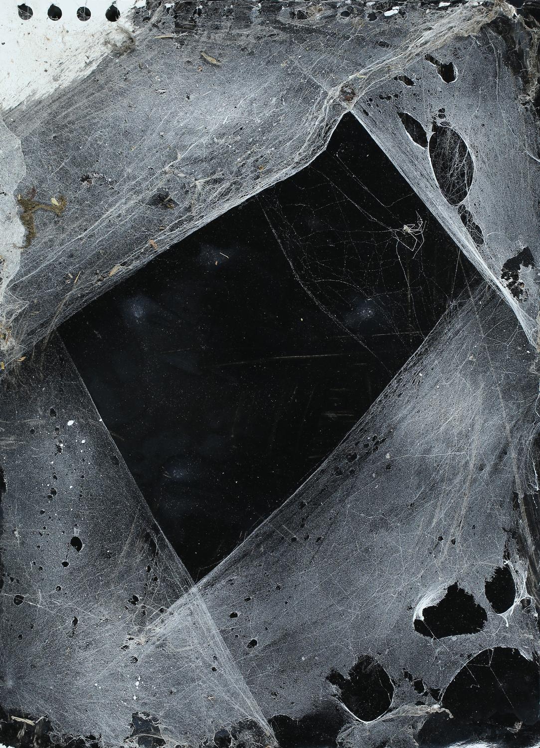 Ohne Titel (aus der Serie Spinnwebenbilder) - Christian Eisenberger 