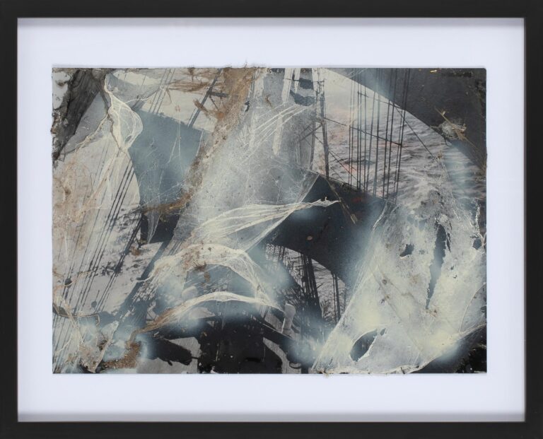 Untitled (Spinnenbild) - Christian Eisenberger 