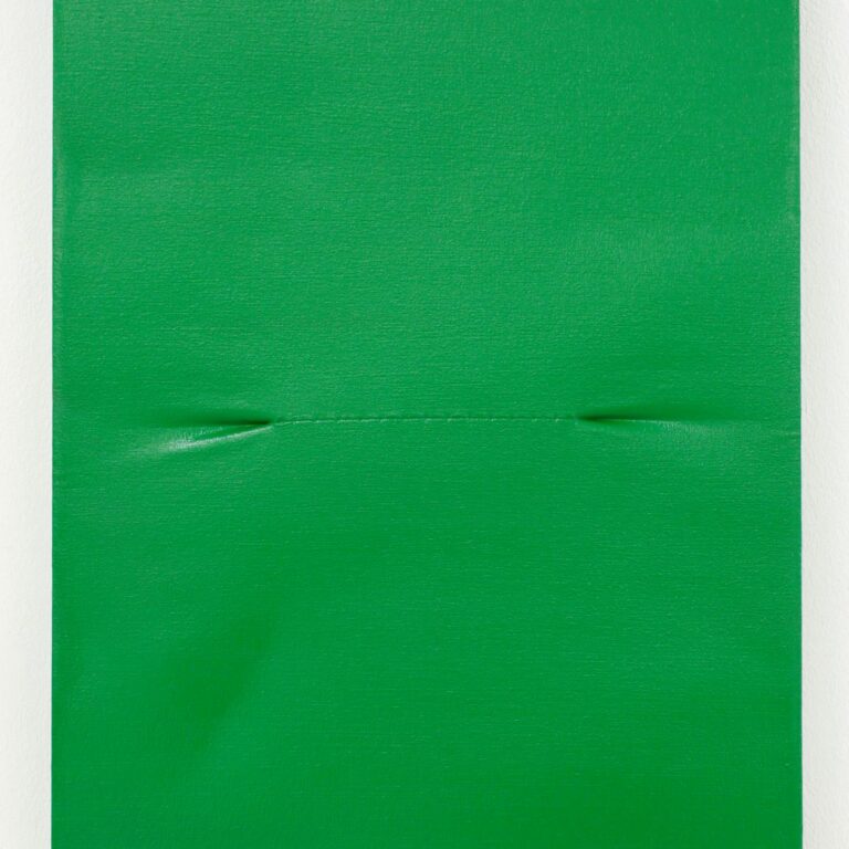 Scar Green - Angela de la Cruz 