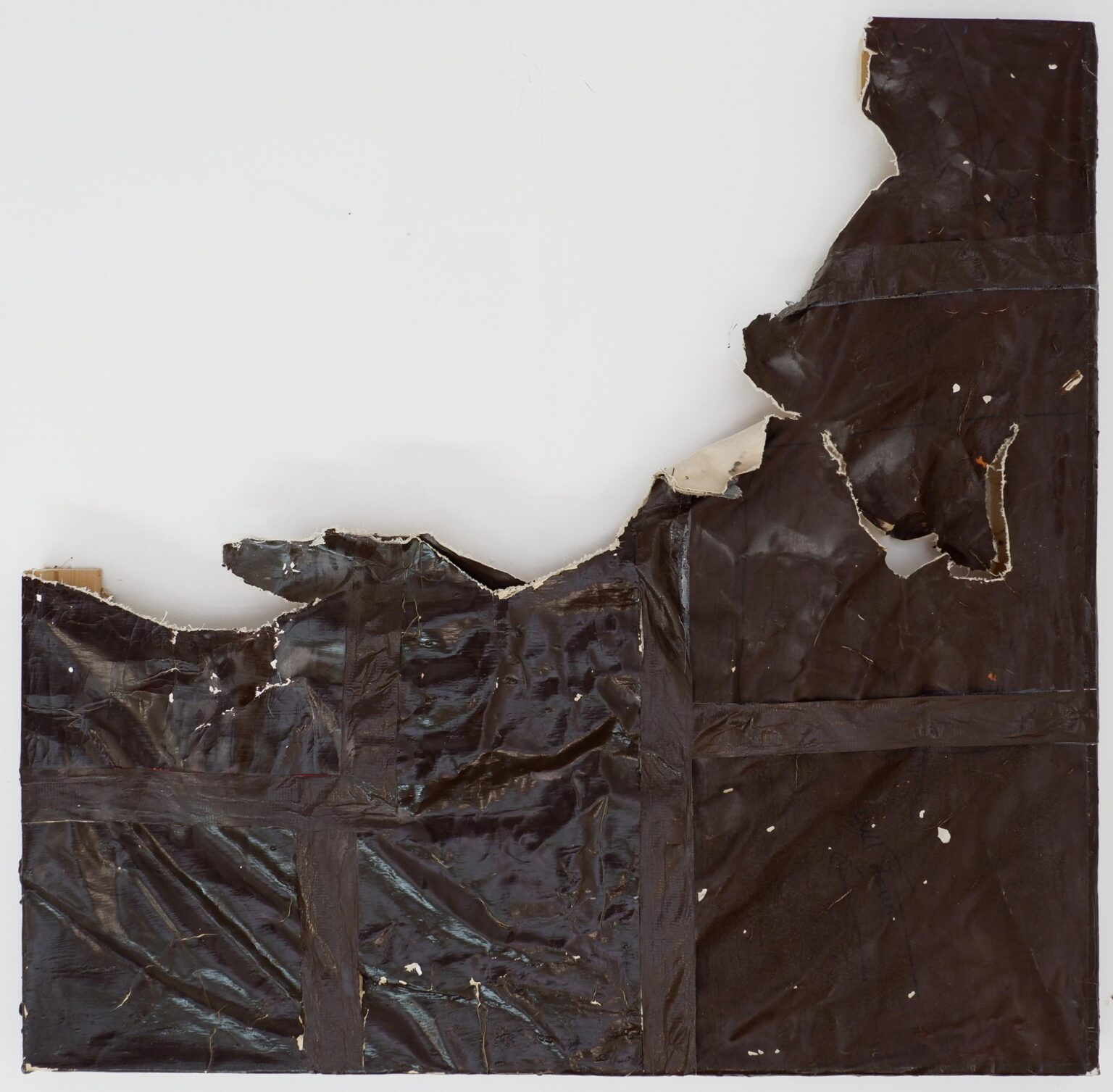 Bite - Angela de la Cruz 