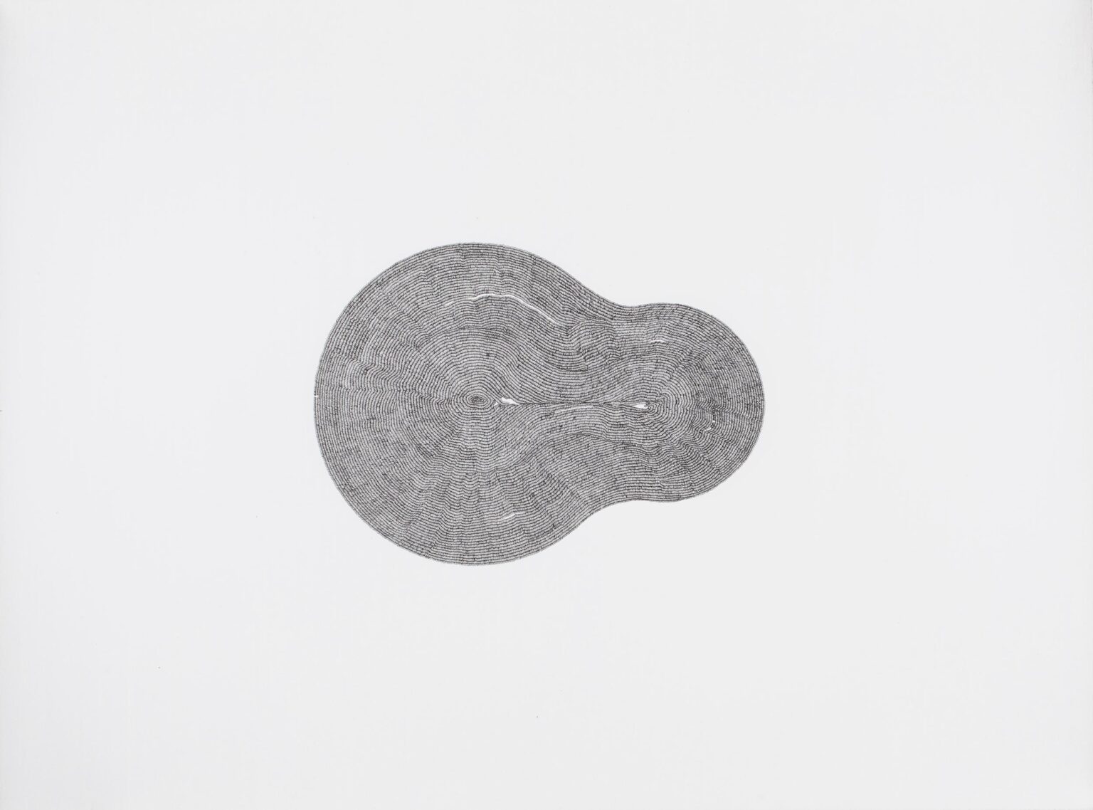 Covalent - Waqas Khan 