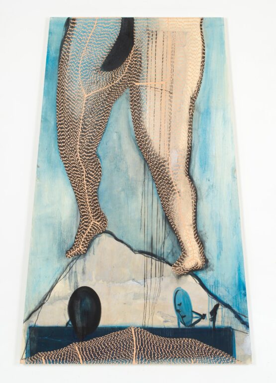 I stepped over a hill - Radhika Khimji 