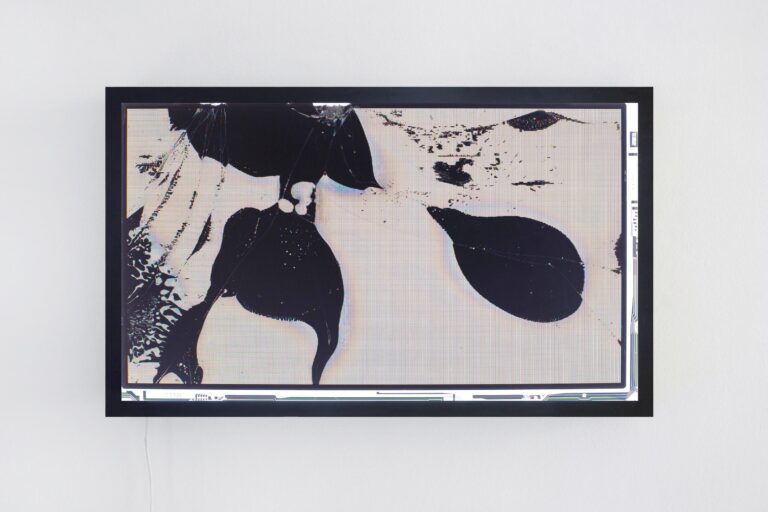 Liquid Crystal (b) - Bernd Oppl 