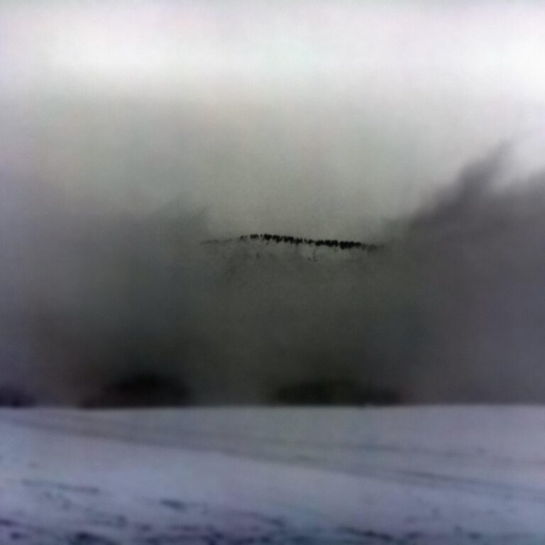 Ohne Titel (262b) - Eva Schlegel 