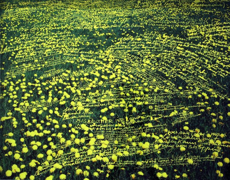 Löwenzahn - Martin Walde 